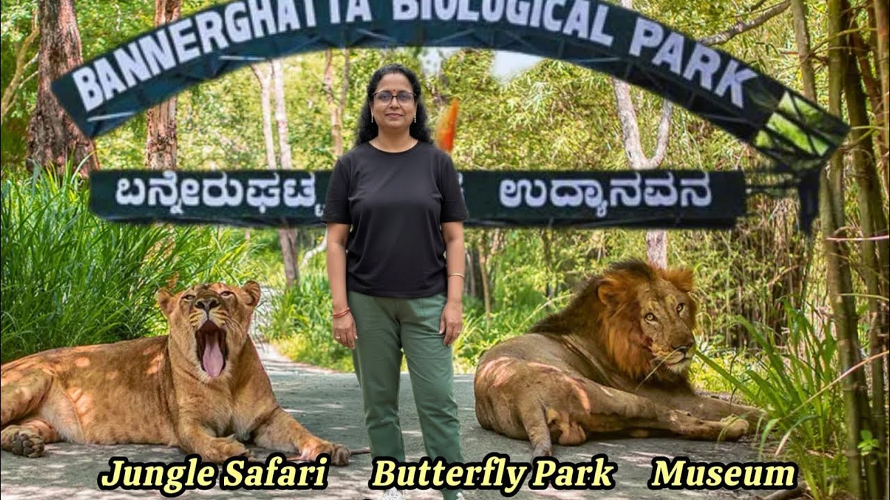 Bannerghatta National Park Safari | Bannerghatta Zoo | Butterfly Park | Zoo | Banglore Zoo