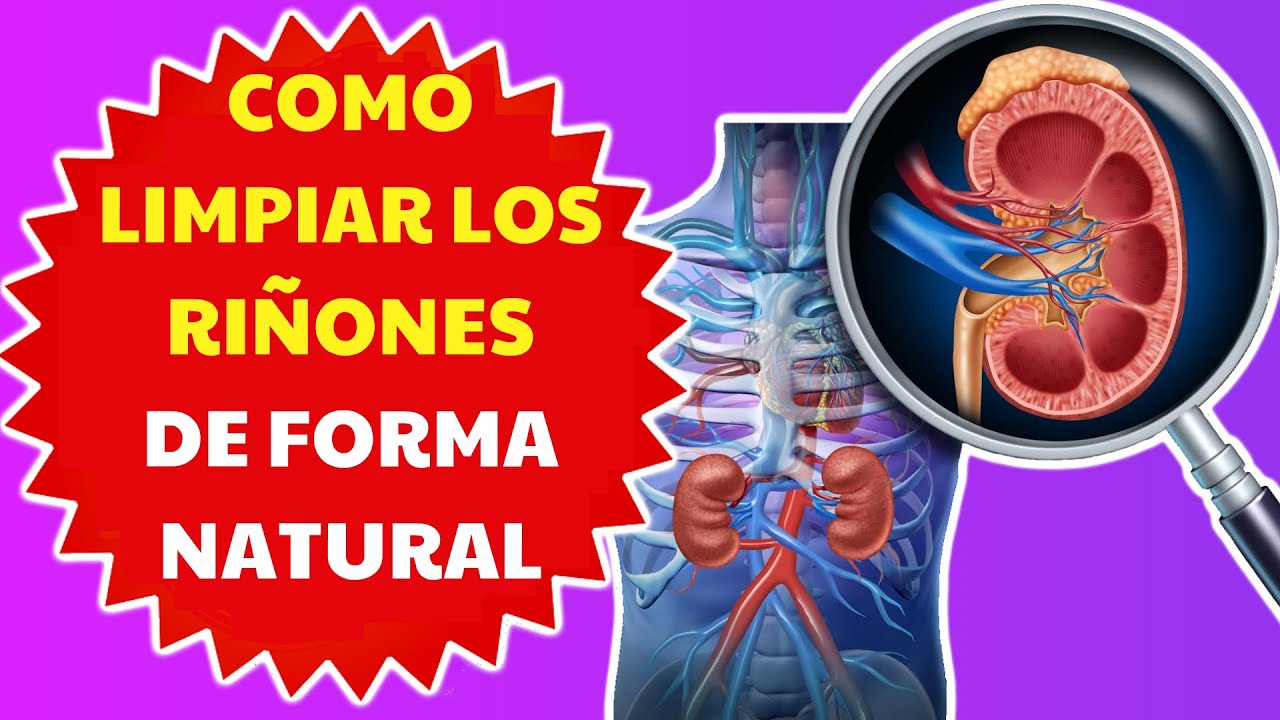 7 Jugos Para Limpiar Los Riñones De Forma Natural YouTube 7 Jugos Para Limpiar Los Riñones De Forma Natural YouTube