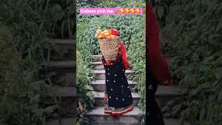 #cutiee #darjeelingtour #viralshorts     #gangtoktour