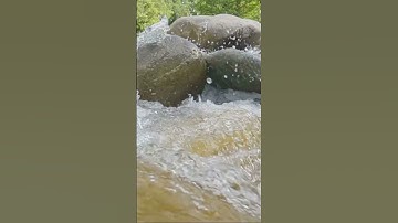 Embrace the Ebb and Flow of Life | Stoic Wisdom