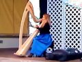 Harp  hang drum