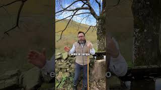 Si estas pensando en comprar en Cantabria, estas son las mejores Zonas.#Cantabria