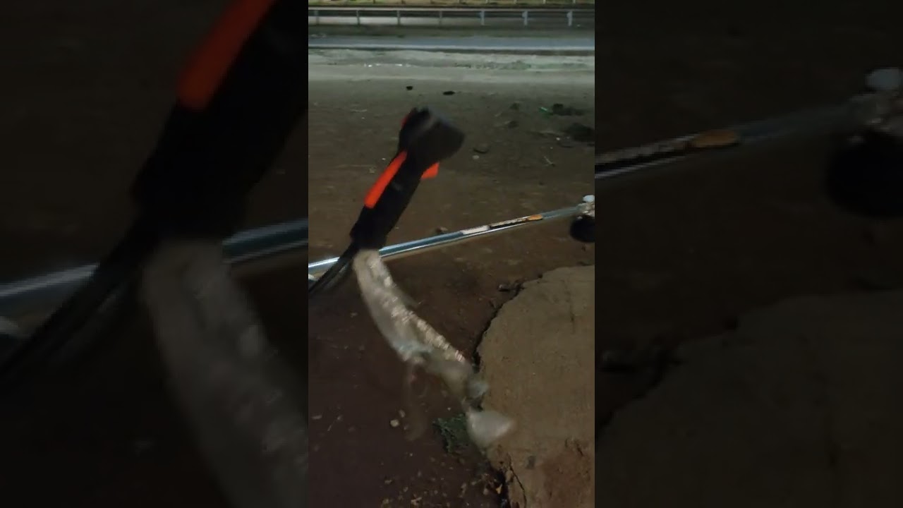 bush cutter converted to electric