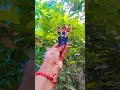 Jay shree Jagannath 🙏 Balabhadra 🙏 Maa subhadra 🙏 painting// on icecream spoon//#art #youtubeshorts