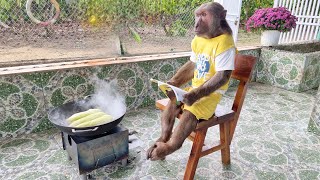 Super chef! Abu boiled corn to feed mom by FUNNY ANIMALS ABU 14,512 views 8 days ago 19 minutes
