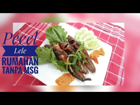 resep-pecel-lele-lamongan-sederhana-tanpa-msg---resep-masakan-indonesia-sehari-hari