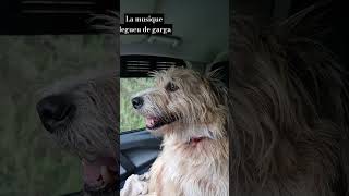 Silence On Écoute🤣Chut Resimi