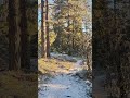 A little bit of snow, but a lot of sun ☀️ #foryou #snow #winter #nature #sweden #outdoors #sun