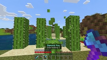 Item Disposal in Minecraft Bedrock (MCPE/Xbox/PS5/PC/Switch)