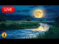 🔴 Deep Sleeping Music 24/7, Insomnia Relief, Sleep Music, Calming Music, Meditation, Study, River