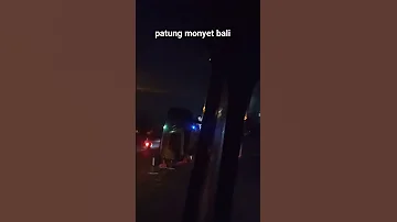 penampakan malam patung kera putih#padanggalak bali