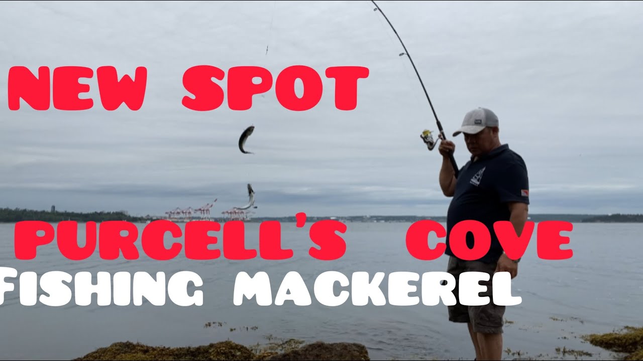 PURCELL’S COVE / FISHING MACKEREL/ HALIFAX NS , @ AUGUST 8,2022 - ElderCanoyTV….