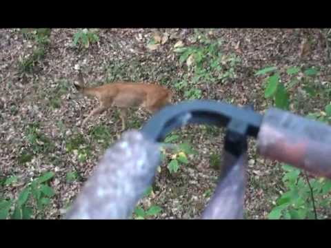 La Chasse A L Arc C Est Aussi Ca Youtube