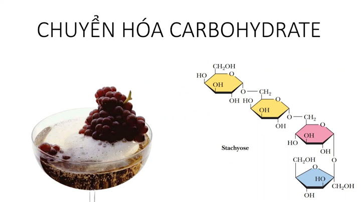 Quá trình chuyên hóa trung gian glucid trong tế bào năm 2024