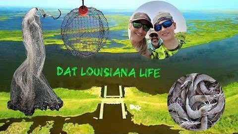 Using Set Nets and Cast Nets to Catch Blue Crabs and Shrimp!