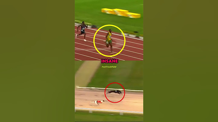 The Fastest Man vs The Fastest DOG 😮