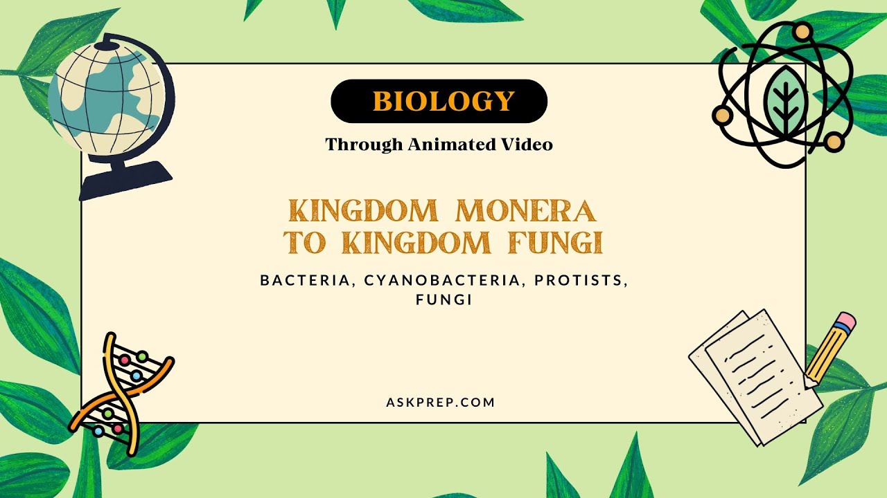 Kingdom Monera to Fungi Explained | Bacteria, Cyanobacteria, Protists &  Fungi |Class 11 Biology