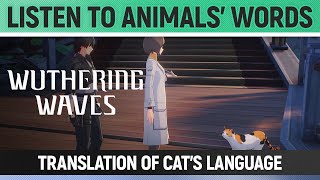 Wuthering Waves - Listen to Animals' Words: Translation of Cat's Language - Side Quest Walkthrough