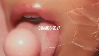 Conmigo Se Va - Maximus Wel Ft Ñengo Flow x Pacho El Antifeka (Audio)