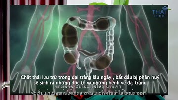 Tại Sao Nhiều Người Thải Độc Detox Đại Tràng Ruột Gan?