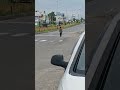 cat walk