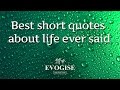 Best Short Quotes About Life Ever Said 🙏🏻🌏 - YouTube