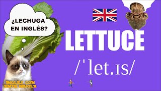 ¿Cómo se dice lechuga en inglés? · ¿Cómo se pronuncia lettuce en inglés?