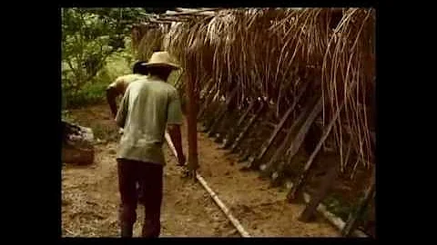 TERRE ROUGE AMAZONIE