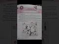 Chapter 1 human values and ethics #bharatpublication #1stsemester #neweducationpolicy #shorts
