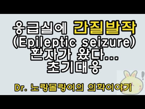 간질발작(epileptic seizure) 분류/진단/감별진단 (1)