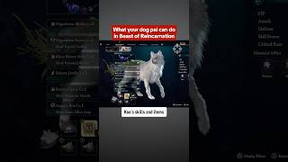 How to use Koo in Beast of Reincarnation