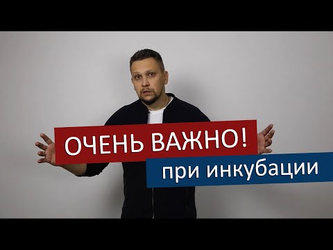 Температура и влажность в помещении при инкубации / Требования к инкубаторию