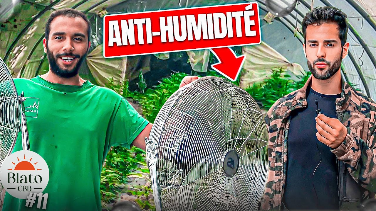 CULTIVER DU CBD EN FRANCE - 11) LA VENTILATION C'EST VITAL !