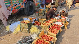 Irani Apple mandi islamabad | fresh juicy Apple | daily fruits update | Fresh healthy Apple |