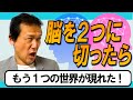 244.なぜ、右脳と左脳に分かれてるのか？分離脳が見た驚くべき世界。　#ロボマインド・プロジェクト