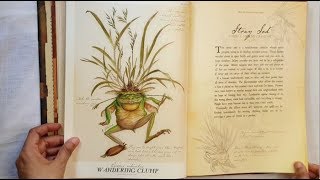 Book Haul: Fairies and Mythical Creatures (Part 1 of 2)