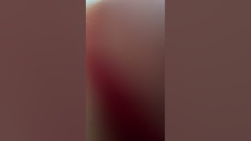 القارئ/يوسف بكر .. سورة الغاشية