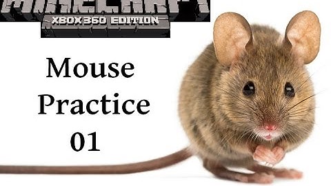 Mouse Practice 01