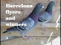 Barcelona flyers and winners