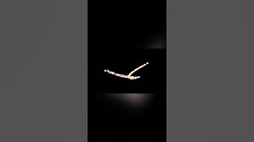 blender particle simulation #2