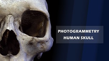 PHOTOGRAMMETRY - HUMAN SKULL