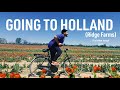 Going to Holland Ridge Farms for Tulip Picking and Dutch Lessons