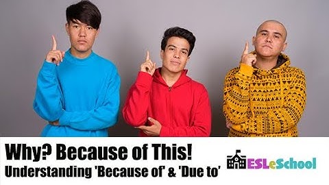 Why? Because of This! Understanding 