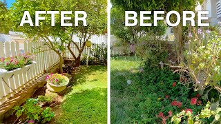 Overgrown Small Garden Makeover | BEFORE and AFTER