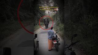 വരുത്തി വയ്ക്കുന്ന അപകടങ്ങൾ 😱📈 #shorts #trending #edit #aana #fyp #viral