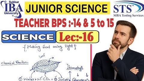 JST Science Test 2025 | Photosynthesis Full Chapter Explained | Class 6 Lecture 16 | 5 to 15 Grade