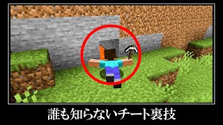 【衝撃】マインクラフトの隠されたバグ裏技＆小ネタ９選