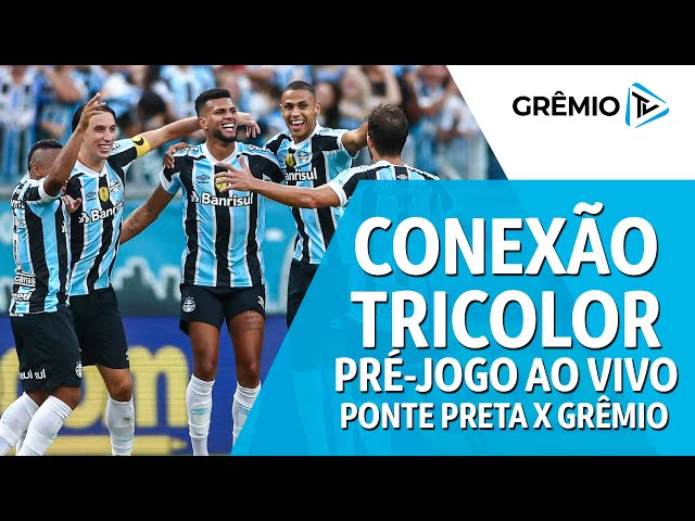 Grêmio vence Ponte Preta e vira vice-líder da Série B - Grêmio - Jornal NH