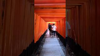 Fushimi Inari Shrine | Kyoto Japan #shorts #kyoto #shorts