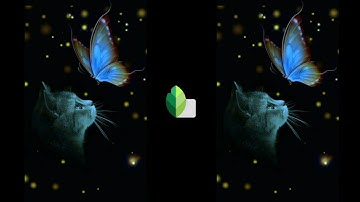 Cat & Butterfly Creative Editing Tutorial 2021/ Snapseed Glowing Photo Editing -Rocky Editing World-